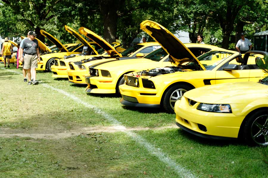 mustang alley
